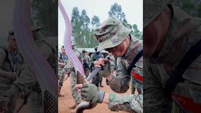 中泰海军联训现场:这波野战生存训练也太硬核了!|中国-泰国 军事训练 野外生存 #china #thailand #survival #millitarytraining #shorts 中泰海军联训现场:这波野战生存训练也太硬核了!|中国-泰国 军事训练 野外生存 #china #thailand #survival #millitarytraining #shorts