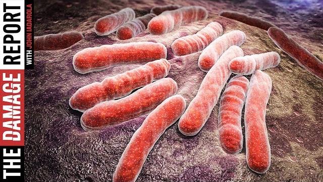 Trump is making e coli great again Trump is making e coli great again