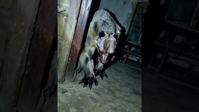 #dinosaur #jurrasic #jurassic #trex #horror #animals #animation #animalsoundsreal #xnxx #jurassi #dinosaur #jurrasic #jurassic #trex #horror #animals #animation #animalsoundsreal #xnxx #jurassi