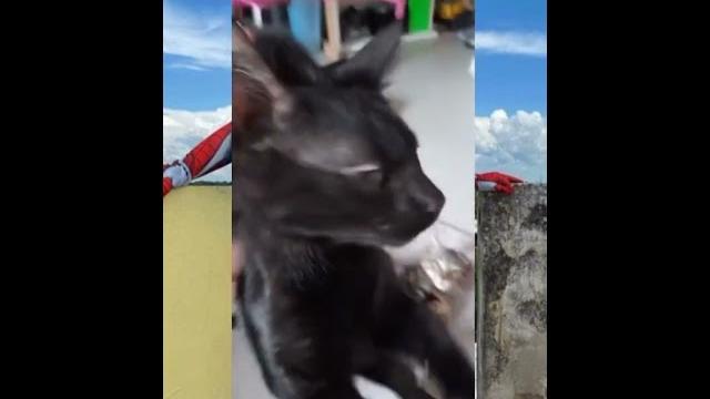 Jilmek (jilat meme*) Jilmek (jilat meme*)