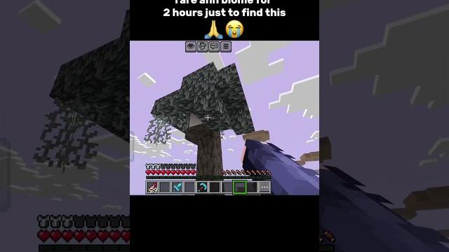 Never searching again for this biome again|minecraft ahh moment|#minecraft #minecraftshorts Never searching again for this biome again|minecraft ahh moment|#minecraft #minecraftshorts