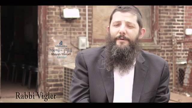 When raba shechted reb zeira! When raba shechted reb zeira!