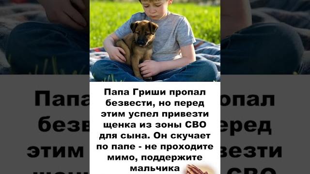 Папа гриши пропал безвести, но перед этим успел привезти щенка из зоны сво. сын скучает по папе Папа гриши пропал безвести, но перед этим успел привезти щенка из зоны сво. сын скучает по папе