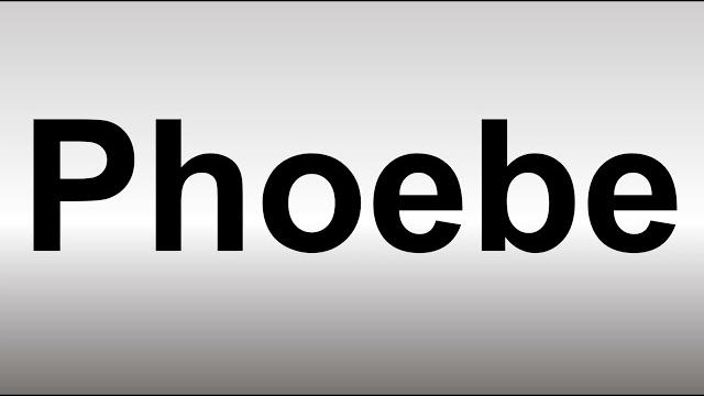 How to pronounce phoebe How to pronounce phoebe