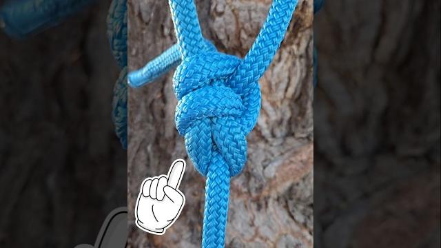 Essential knot you need to know | camping knot | bowline knot #shorts #shortvideo #howto #tips Essential knot you need to know | camping knot | bowline knot #shorts #shortvideo #howto #tips