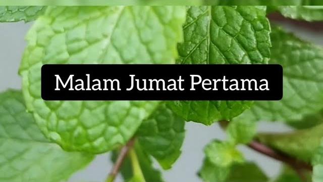 Asmr malam jumat Asmr malam jumat