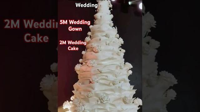Zeinab herake wedding of the year!5m wedding gown ,2m wedding cake#zeinabherake #wedding#shortvideo Zeinab herake wedding of the year!5m wedding gown ,2m wedding cake#zeinabherake #wedding#shortvideo
