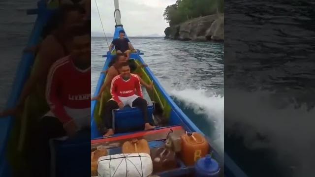 Yuk tarik pukat mana tau dapat singa bahar Yuk tarik pukat mana tau dapat singa bahar