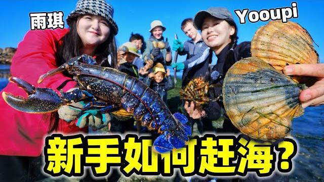 带一群新手法国赶海,居然拿下大龙虾?做海鲜盛宴真香!| 法國 | 赶海 | 鲍鱼 | 龙虾 | 搞笑 | 带一群新手法国赶海,居然拿下大龙虾?做海鲜盛宴真香!| 法國 | 赶海 | 鲍鱼 | 龙虾 | 搞笑 |
