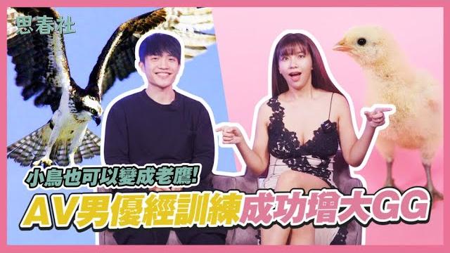 小鳥也可以變成老鷹!av男優經訓練成功增大gg!|思春聊天室|吳夢夢 ft.波斯|av男優 小鳥也可以變成老鷹!av男優經訓練成功增大gg!|思春聊天室|吳夢夢 ft.波斯|av男優