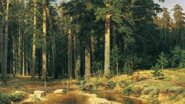 Как написать пейзаж ."корабельная роща". Как написать пейзаж ."корабельная роща".