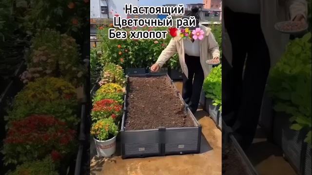 Настоящий цветочный рай без хлопот #wildberries Настоящий цветочный рай без хлопот #wildberries