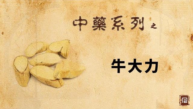 牛大力 牛大力