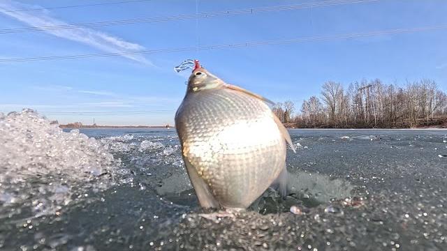 Зимняя рыбалка! март +10 рыба ловится! Зимняя рыбалка! март +10 рыба ловится!
