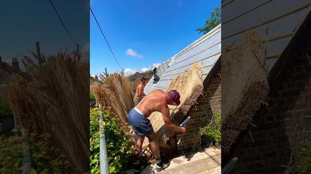 Thatching a cottage with new water reed #youtube #youtubeshorts #satisfying #viral #asmr Thatching a cottage with new water reed #youtube #youtubeshorts #satisfying #viral #asmr