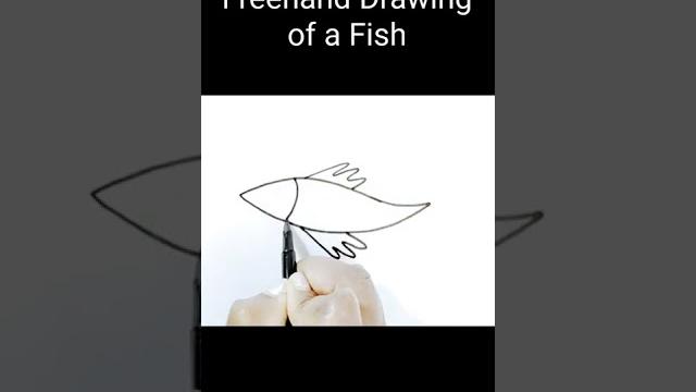 How to draw a fish | freehand drawing How to draw a fish | freehand drawing
