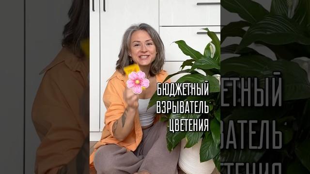 Про женское счастье. почему у многих оно «несчастье»? Про женское счастье. почему у многих оно «несчастье»?