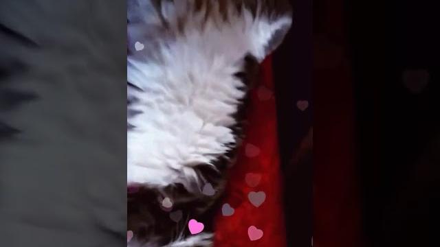 Showing off my pussy... Showing off my pussy...