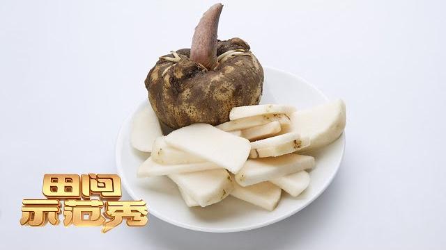 为魔芋除“魔”!乡土专家现场拯救魔芋苗 魔芋种植迎接新挑战!丨「田间示范秀」20211101 为魔芋除“魔”!乡土专家现场拯救魔芋苗 魔芋种植迎接新挑战!丨「田间示范秀」20211101