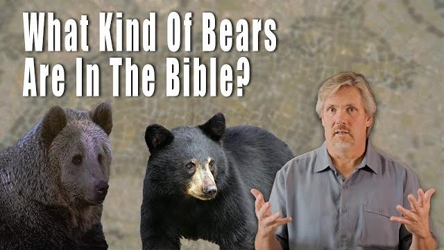 How do we know what kind of bears were in the bible ? How do we know what kind of bears were in the bible ?