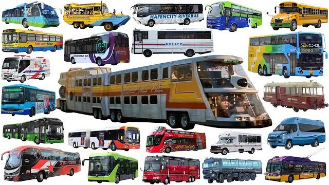 The big bus, school bus, police bus, city bus | bus name collection - learning vehicle types of bus The big bus, school bus, police bus, city bus | bus name collection - learning vehicle types of bus