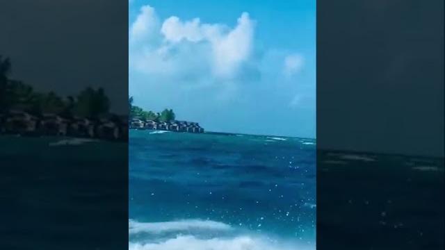 What is this place! haven | maldives | varu | varu by atmosphere #maldives #honymoon #varu #shorts What is this place! haven | maldives | varu | varu by atmosphere #maldives #honymoon #varu #shorts