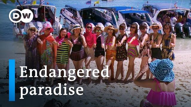 Thailand and the fallout from mass tourism | dw documentary Thailand and the fallout from mass tourism | dw documentary