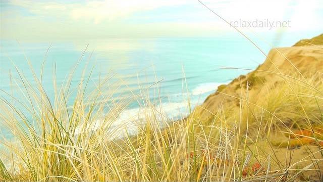 Ocean breeze (light music - easy music for studying, focus, write, spa, relaxation) Ocean breeze (light music - easy music for studying, focus, write, spa, relaxation)