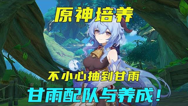 【原神】抽了甘雨要怎么玩?甘雨配队与养成!【阿炜原神】 【原神】抽了甘雨要怎么玩?甘雨配队与养成!【阿炜原神】