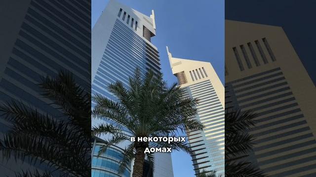 К чему в дубае сложно привыкнуть? #дубай #оаэ К чему в дубае сложно привыкнуть? #дубай #оаэ