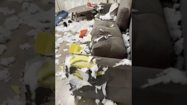 Приходил серёжка, поиграли мы немножко Приходил серёжка, поиграли мы немножко