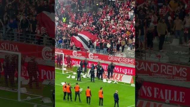 Le stade de reims relégué : réaction explosive des supporters #footballshorts #football #foot Le stade de reims relégué : réaction explosive des supporters #footballshorts #football #foot