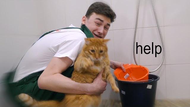 Мою своего кота *что-то пошло не так* Мою своего кота *что-то пошло не так*
