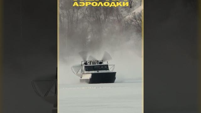 Аэролодки нерпа не сдуваются, не рвутся. покупай правильные аэролодки новинка дизель 450 л/с Аэролодки нерпа не сдуваются, не рвутся. покупай правильные аэролодки новинка дизель 450 л/с