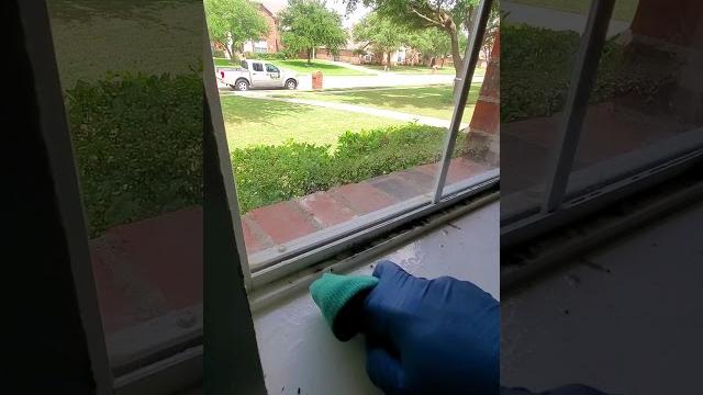Interior window mold removal - #residential #service #professional #project #highlights #dallas Interior window mold removal - #residential #service #professional #project #highlights #dallas