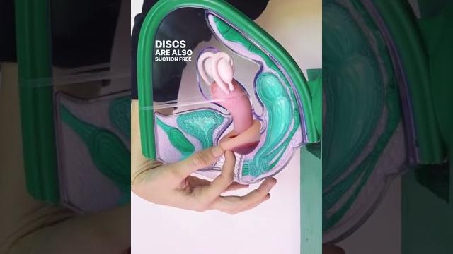 How menstrual discs work in your body #shorts How menstrual discs work in your body #shorts