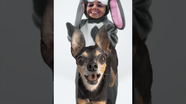 Coelhinho se eu fosse como tu... Coelhinho se eu fosse como tu...