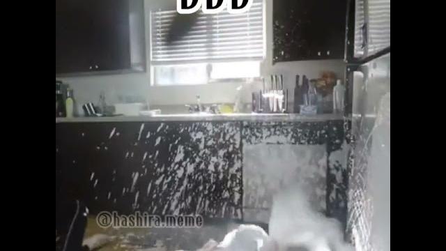 Destroy d1ck desember Destroy d1ck desember