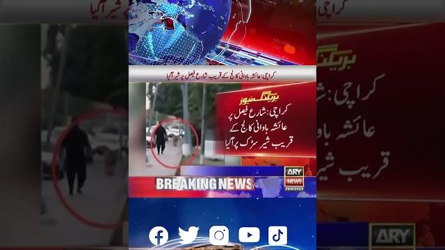 𝐋𝐢𝐨𝐧 𝐰𝐚𝐥𝐤𝐢𝐧𝐠 𝐚𝐭 𝐒𝐡𝐚𝐡𝐫𝐚𝐡 𝐞 𝐅𝐚𝐢𝐬𝐚𝐥 𝐊𝐚𝐫𝐚𝐜𝐡𝐢 #shorts #karachi #shahrahfaisal #loinspotinkarachi 𝐋𝐢𝐨𝐧 𝐰𝐚𝐥𝐤𝐢𝐧𝐠 𝐚𝐭 𝐒𝐡𝐚𝐡𝐫𝐚𝐡 𝐞 𝐅𝐚𝐢𝐬𝐚𝐥 𝐊𝐚𝐫𝐚𝐜𝐡𝐢 #shorts #karachi #shahrahfaisal #loinspotinkarachi