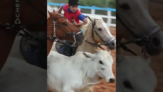 🟤de pai para filho vaquejada para status #2022 #vaquejada 🟤de pai para filho vaquejada para status #2022 #vaquejada