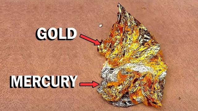 Dissolving gold in mercury Dissolving gold in mercury