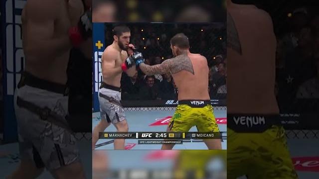 Makhachev vs moicano #ufc311 Makhachev vs moicano #ufc311