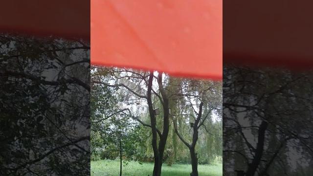 Осень. шум дождя. колыбельная для сна. Осень. шум дождя. колыбельная для сна.
