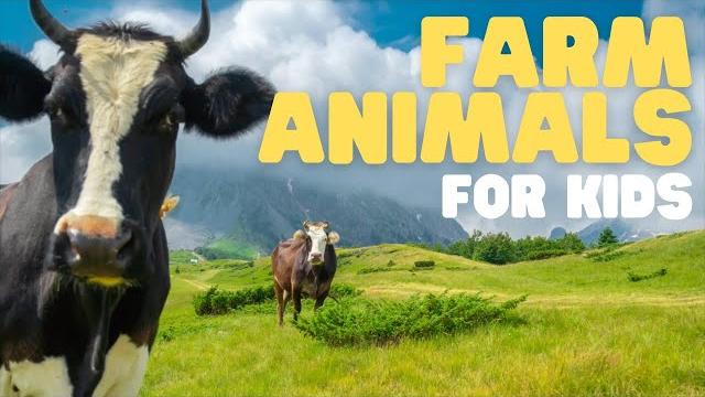 Farm animals for kids | learn all about these fun animals! Farm animals for kids | learn all about these fun animals!