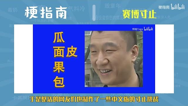 赛博寸止是什么梗【梗指南】 赛博寸止是什么梗【梗指南】
