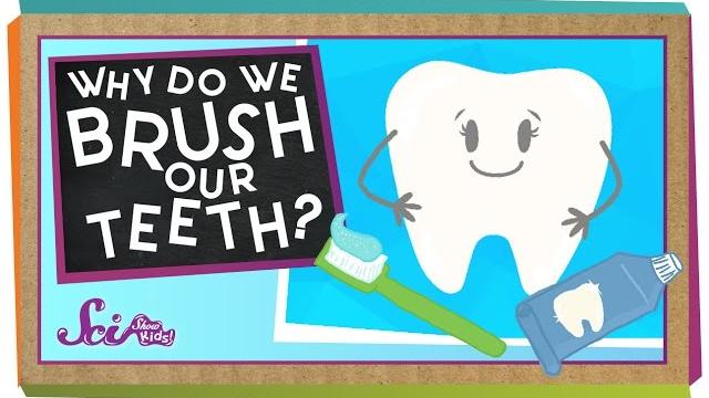 Why do we brush our teeth? | health for kids | scishow kids Why do we brush our teeth? | health for kids | scishow kids
