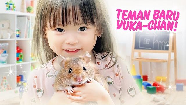 Yuka-chan adopsi hewan lucu! | vlog Yuka-chan adopsi hewan lucu! | vlog