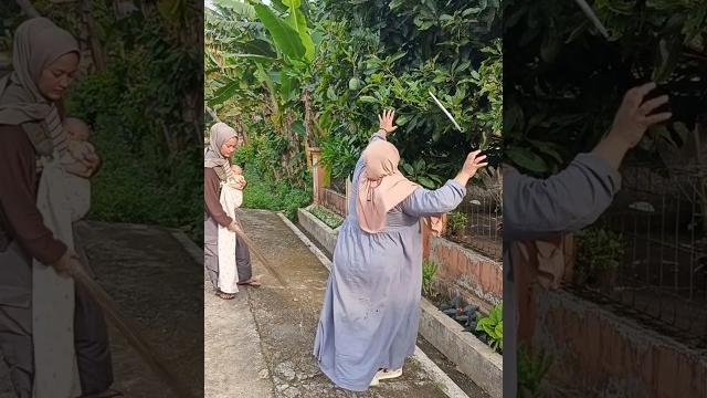 Ngejar layangan malah nyuri mangga orang Ngejar layangan malah nyuri mangga orang