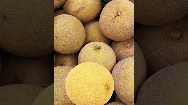 Cucumismelo | baby cucumis melo #cucumilo #hoorainmukhtar #shortsfeed #shorts #shortsbaby #viral Cucumismelo | baby cucumis melo #cucumilo #hoorainmukhtar #shortsfeed #shorts #shortsbaby #viral