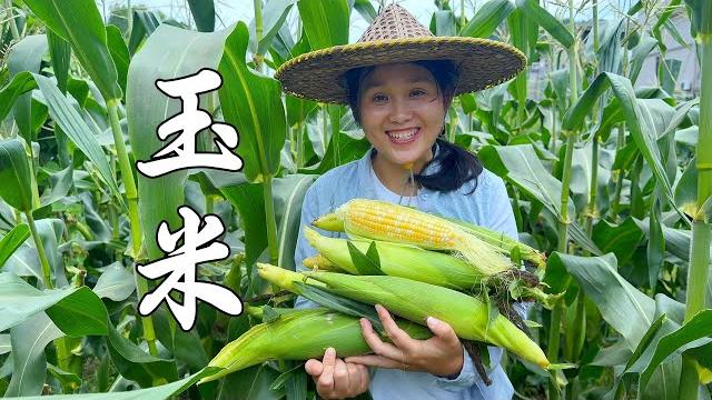 玉米的终极吃法!吃一顿玉米大餐,一可:我每天都要吃 玉米的终极吃法!吃一顿玉米大餐,一可:我每天都要吃